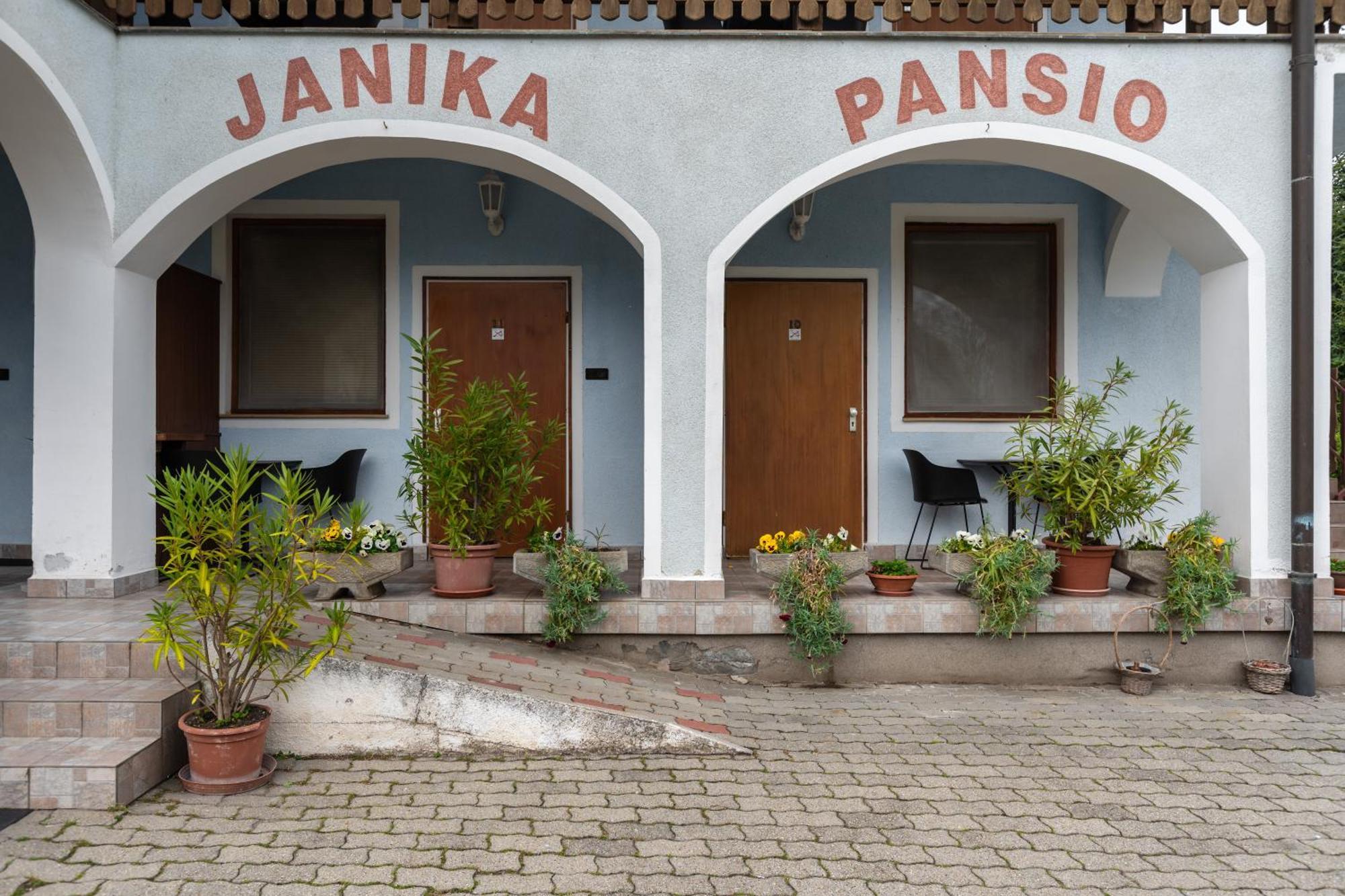 Hotel Janika Pension Vonyarcvashegy Exterior foto